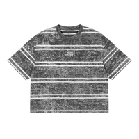 Snow Washed Striped T-Shirt